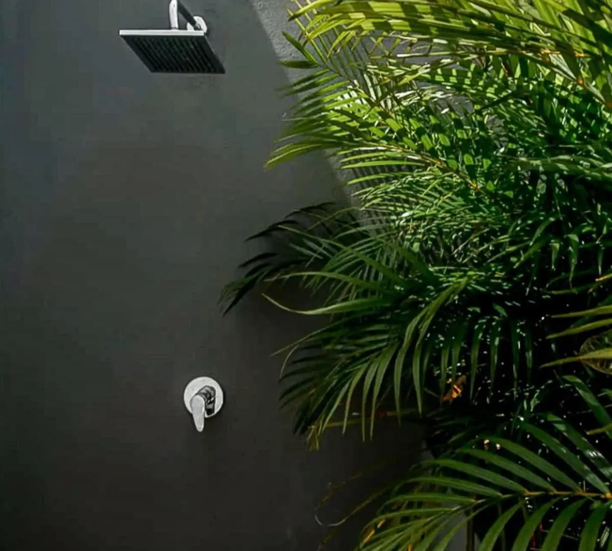 아파트 Joya De La Zazil 20 Av Rooftop Pool Walk To Playa Mamitas Coco Beach & 5 신데 델 카르멘