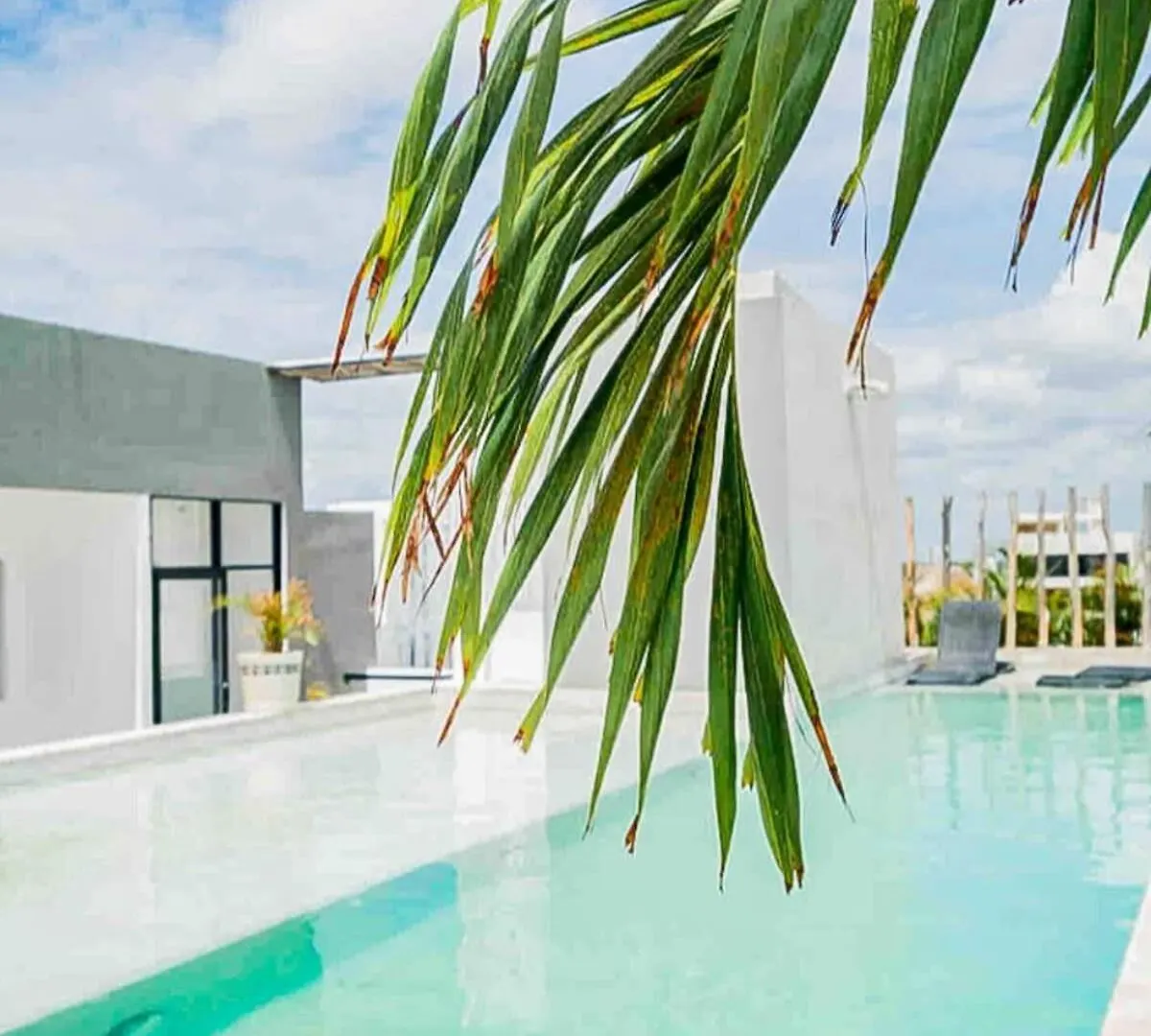 Joya De La Zazil 20 Av Rooftop Pool Walk To Playa Mamitas Coco Beach & 5 신데 델 카르멘 아파트